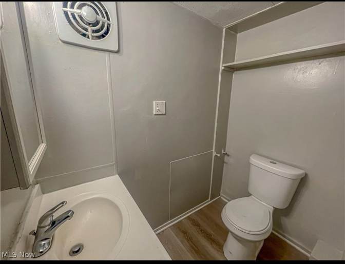 Dora's room