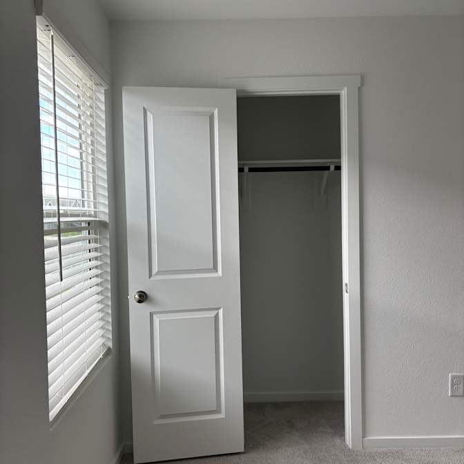 Cat's room