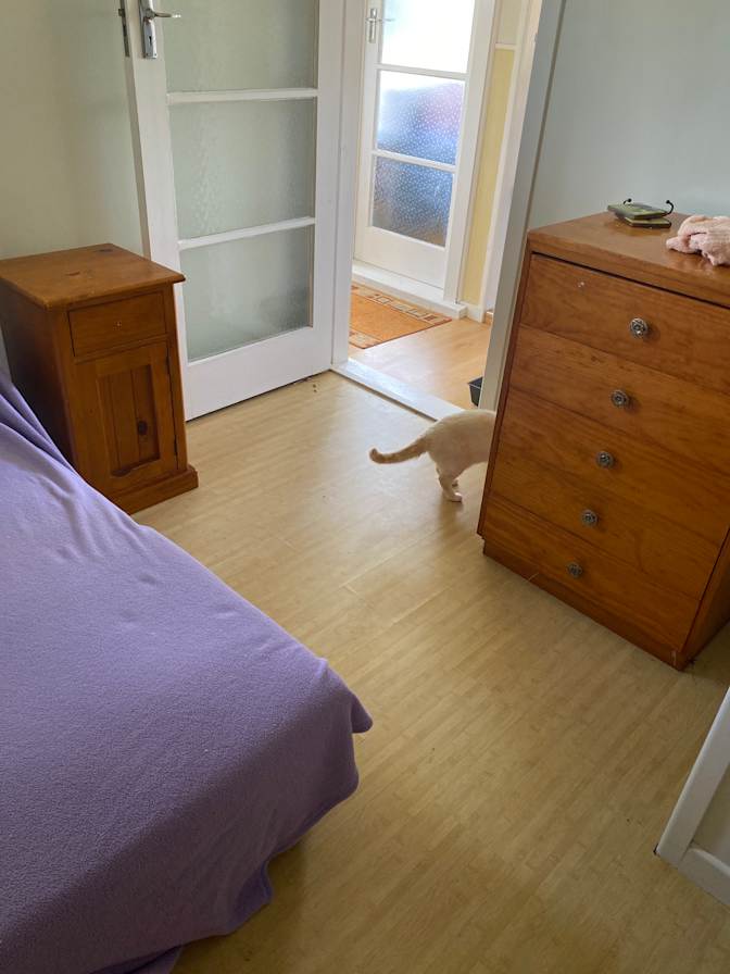 Mandy's room