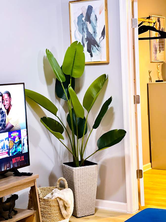 Cici's room