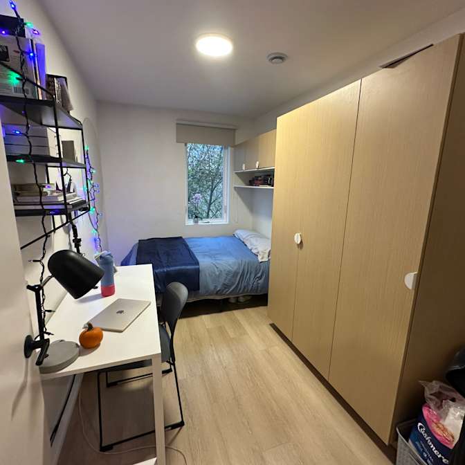 Halle's room
