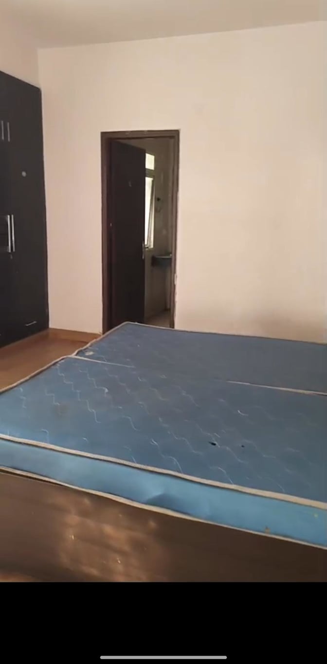 Wagisha Srivastava's room