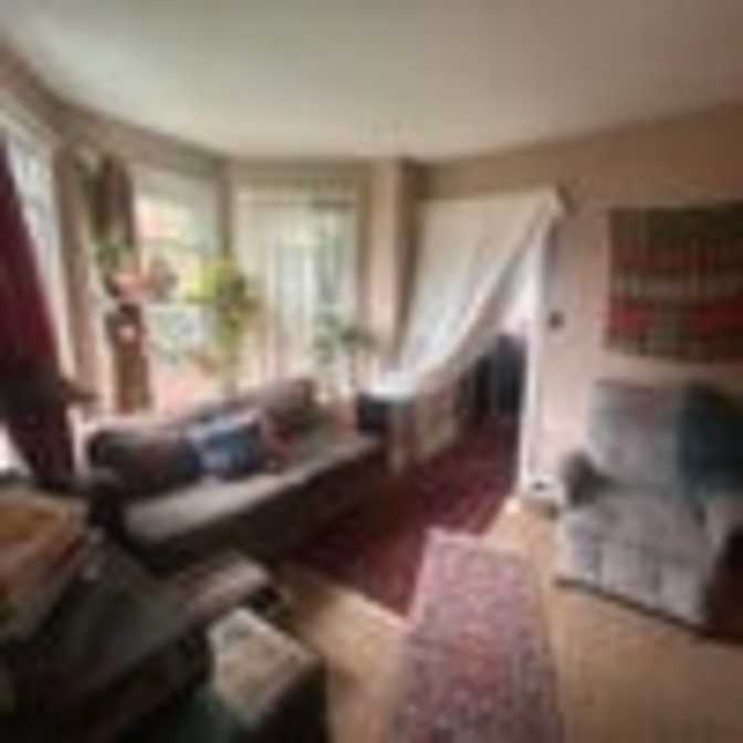 David's room