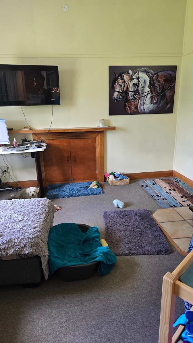 ANDI's room