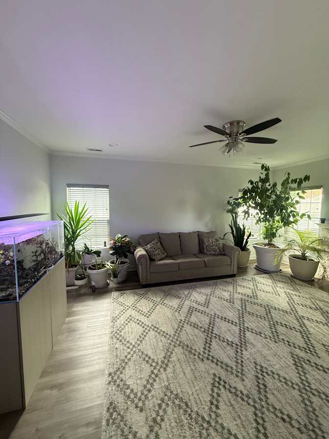 Samuel's room