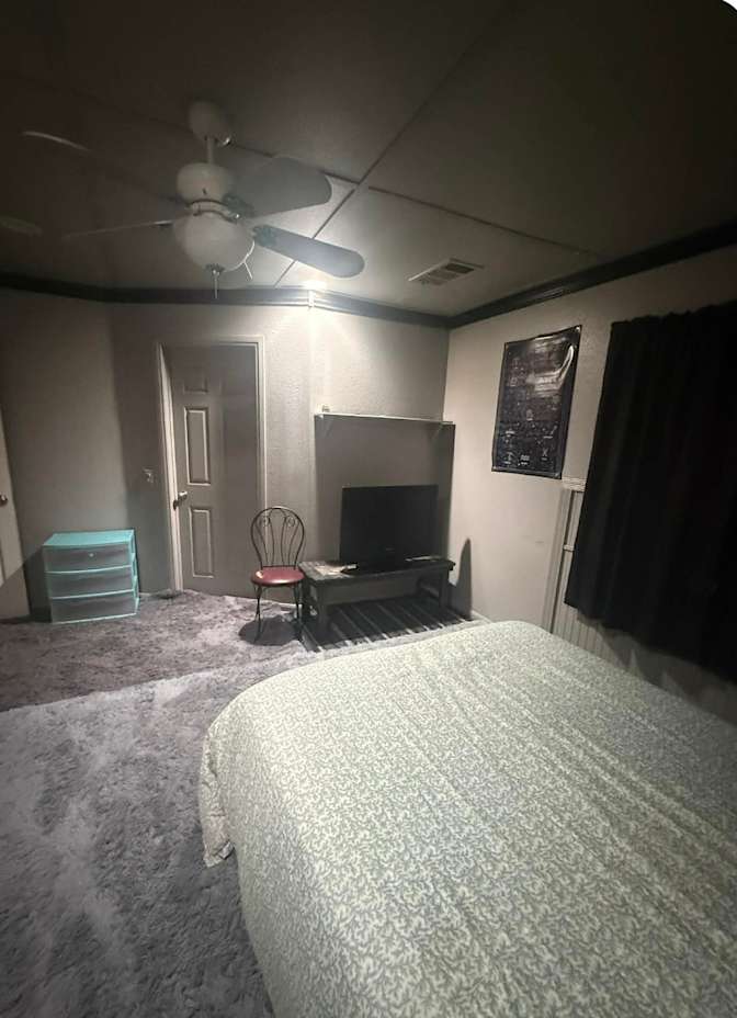 Bear's room