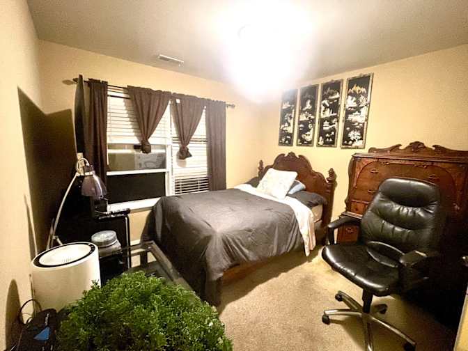 Ann's room