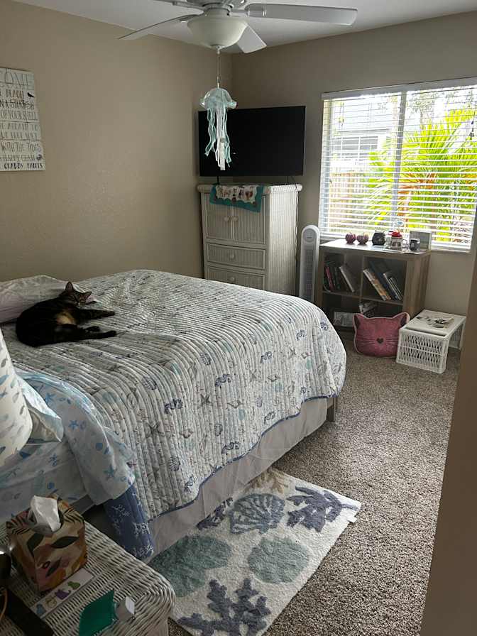 Judy vee's room