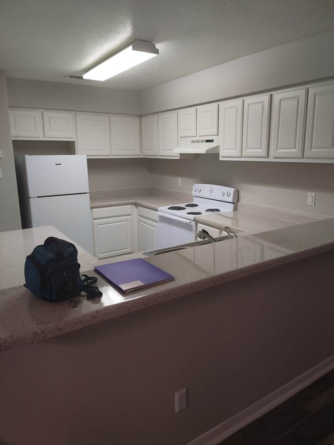 Brandt's room