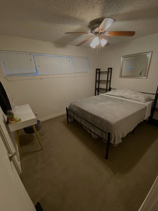 Mario's room
