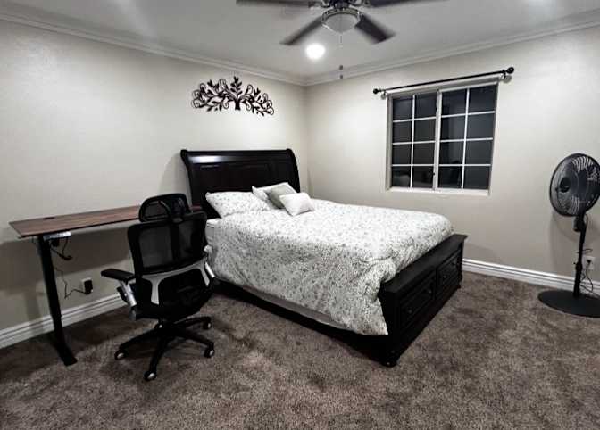 Pat's room