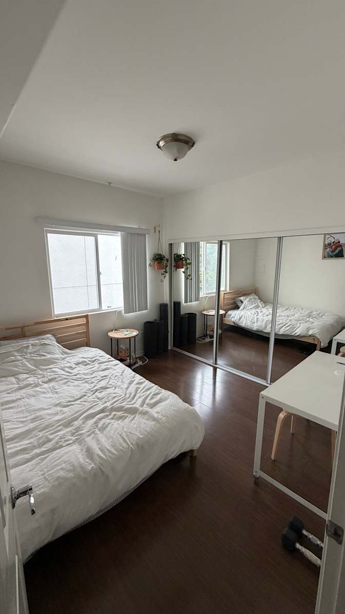 Shawn's room