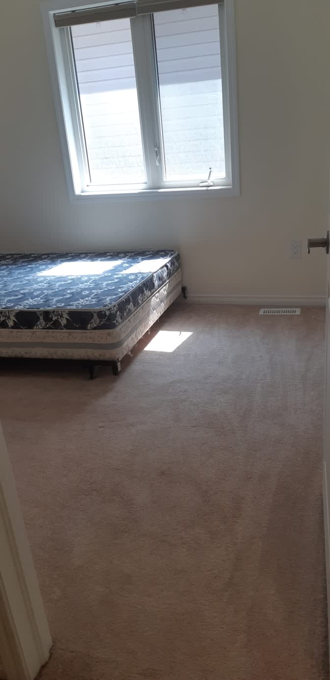 Shaheen's room