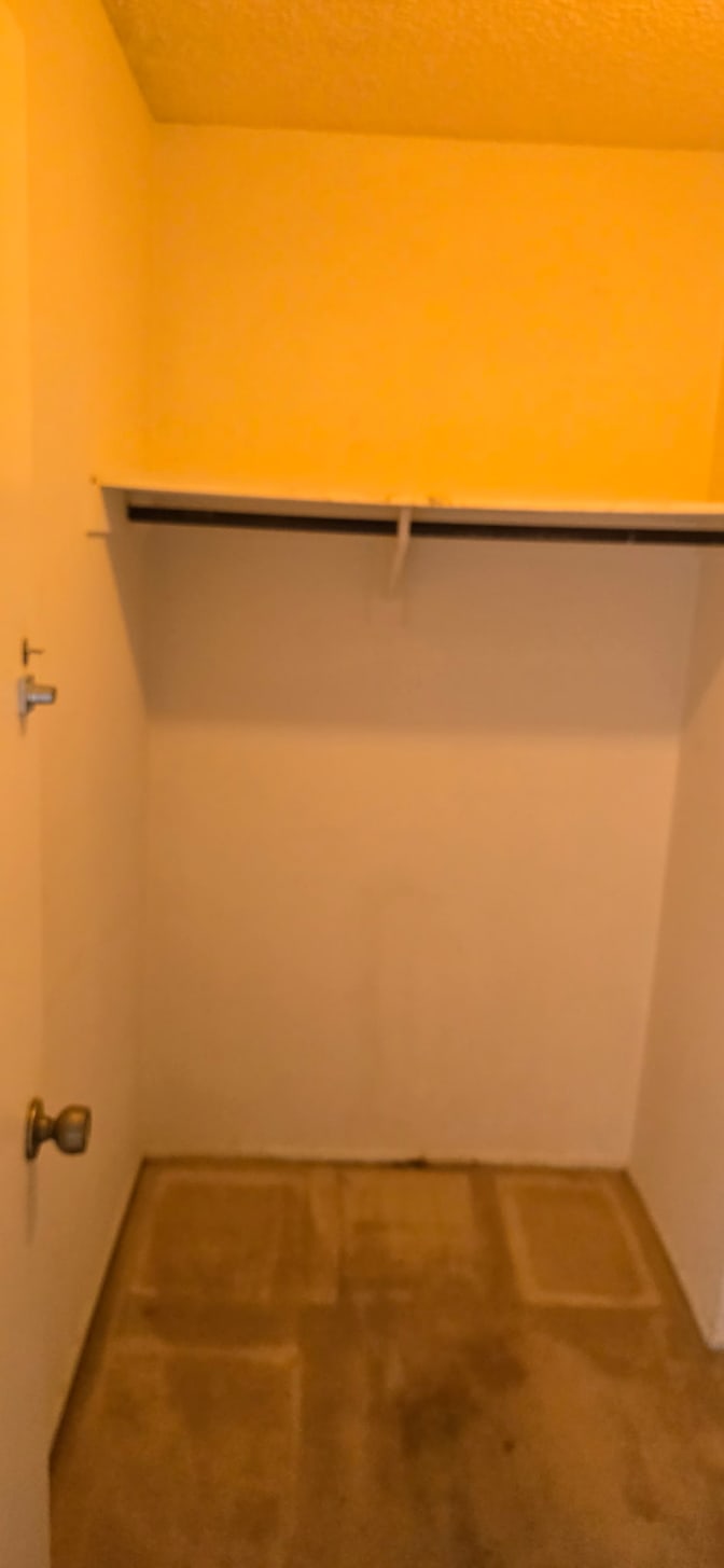 Maurice's room