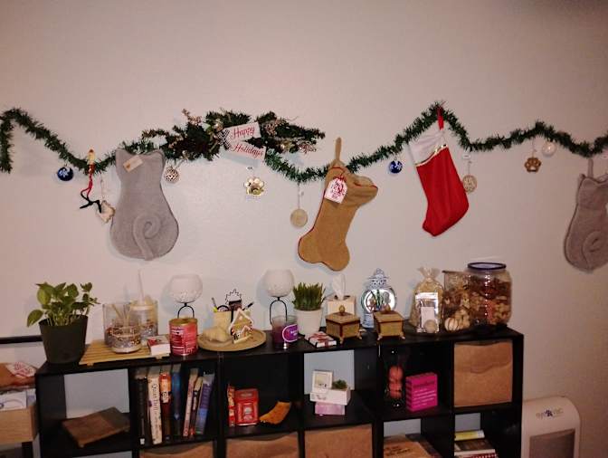 Carol Adams's room