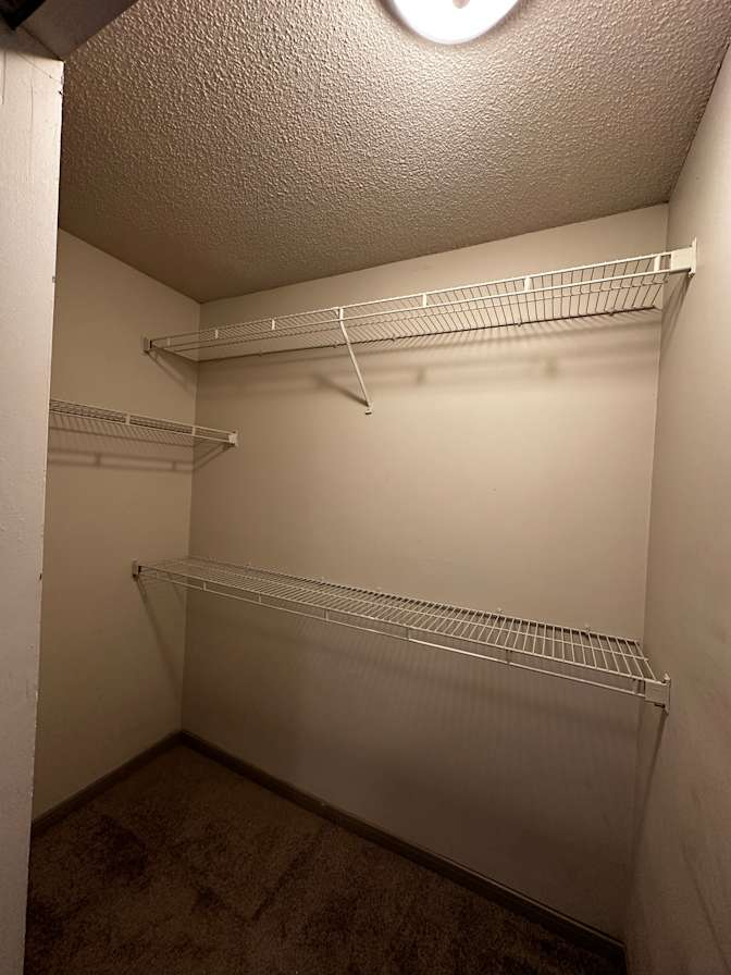 Carly's room