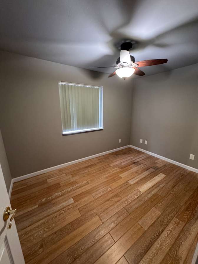 lexi's room