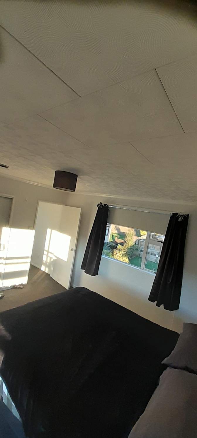 steve kenny's room