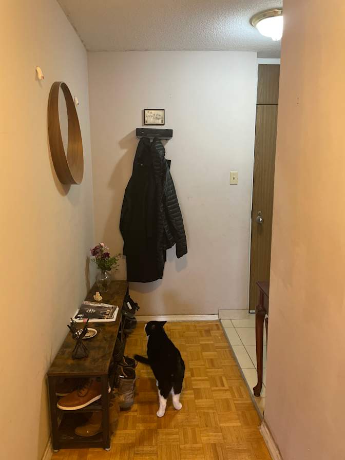 T's room