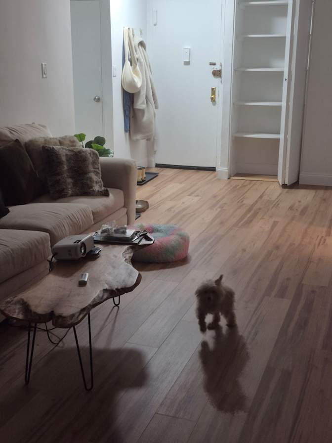 Leona's room