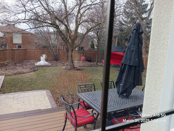 Large in house Basement Apartment shared only with a quite clean early thirties male professional's room