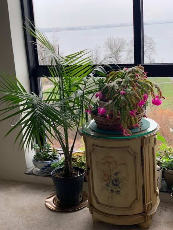 Joanne Codi's room