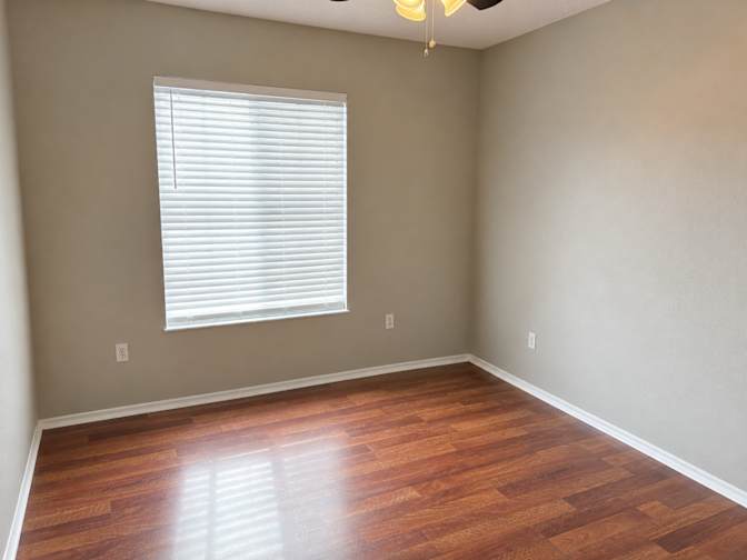 Shelley's room