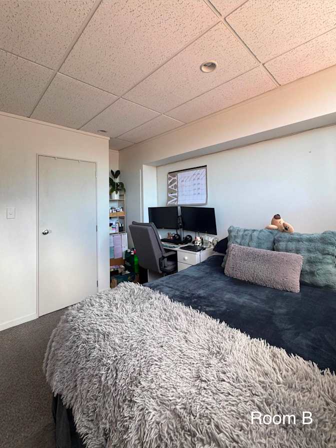 Katrina's room