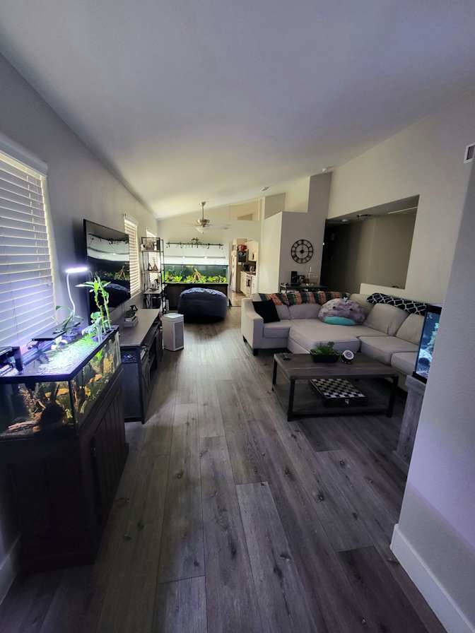 Jomar's room