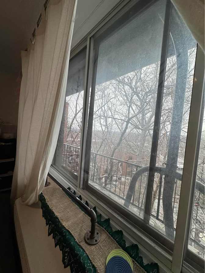 Toni's room