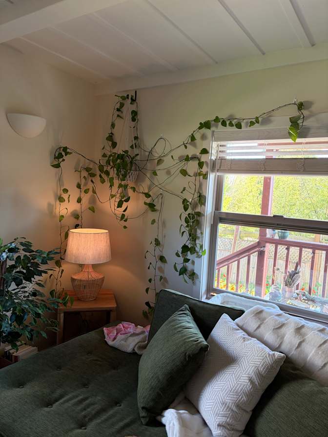 Dominique Couto Cerdeiral's room