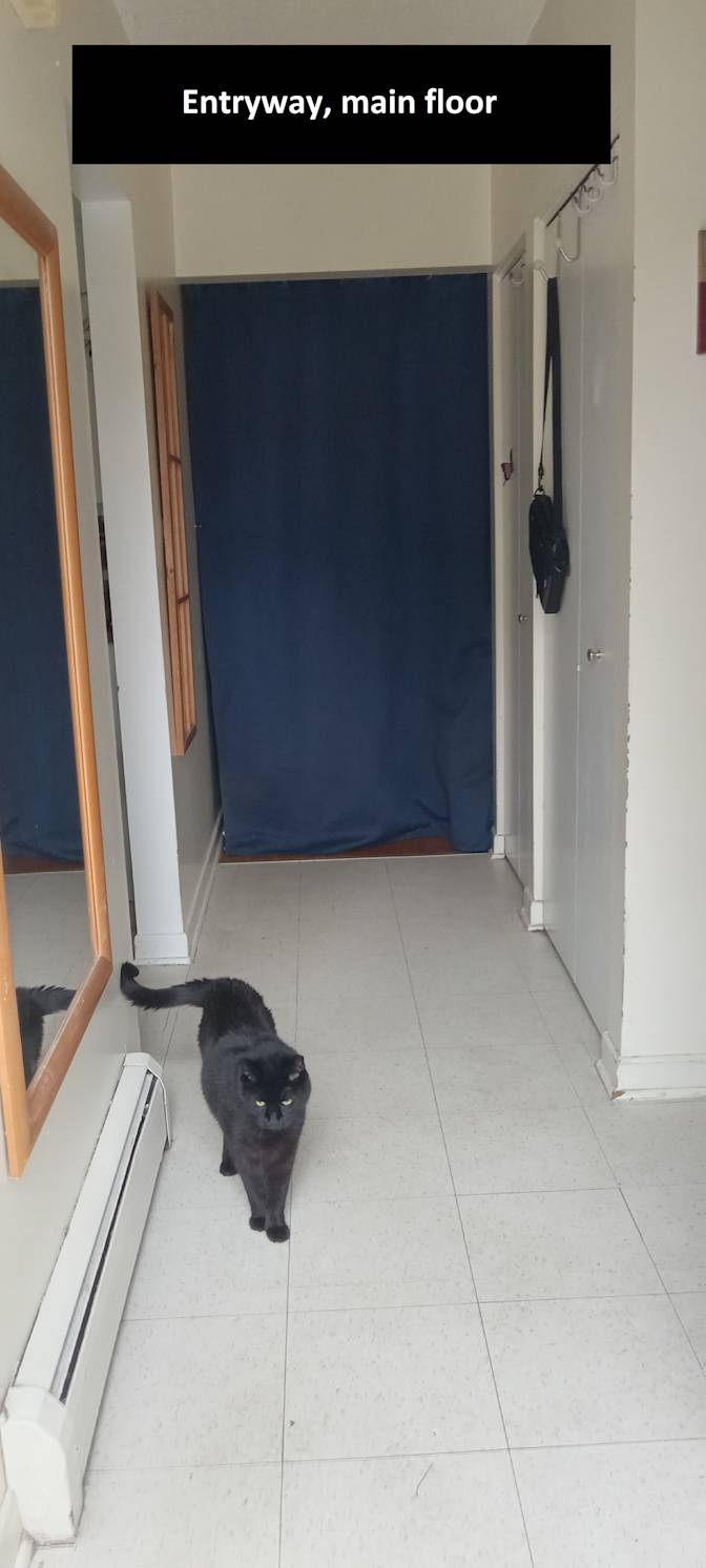 Matthew's room