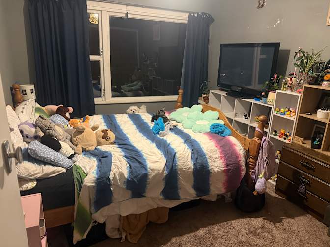 Rachael's room