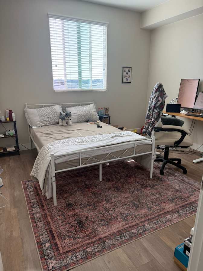 Raj Singh chauhan's room