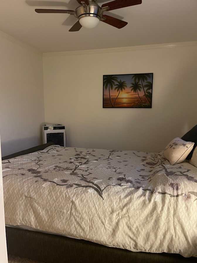 Lisa's room
