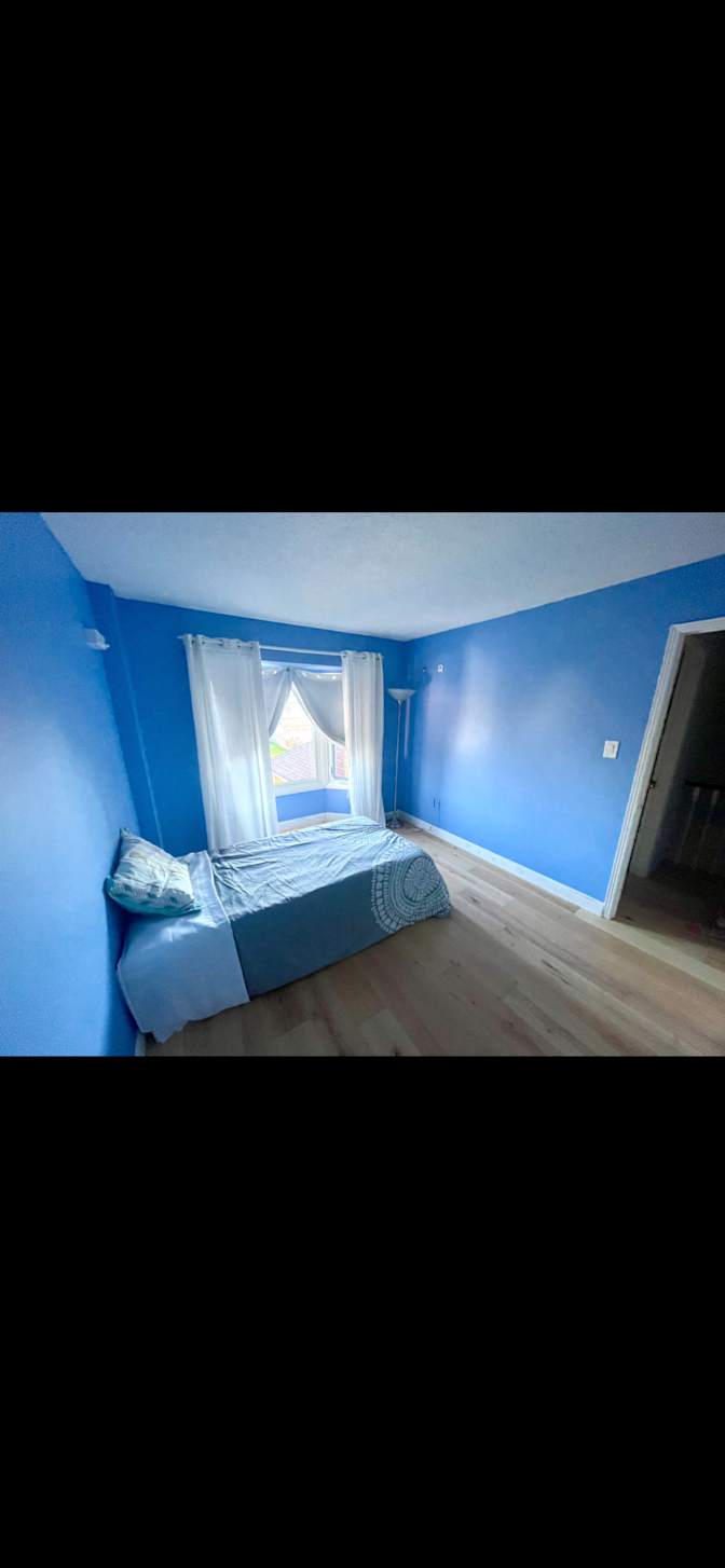 Anth's room