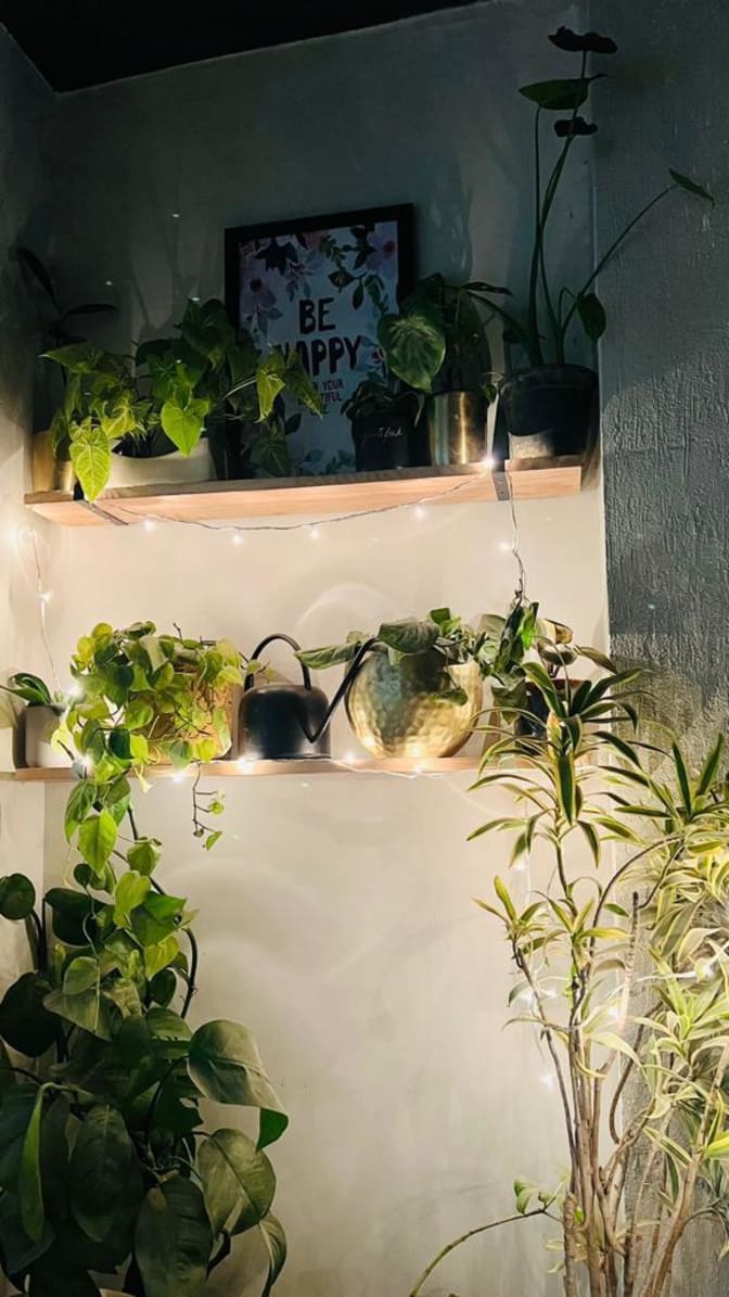 Bhavya's room