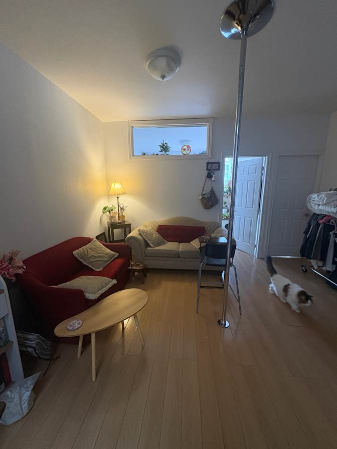 rashin's room