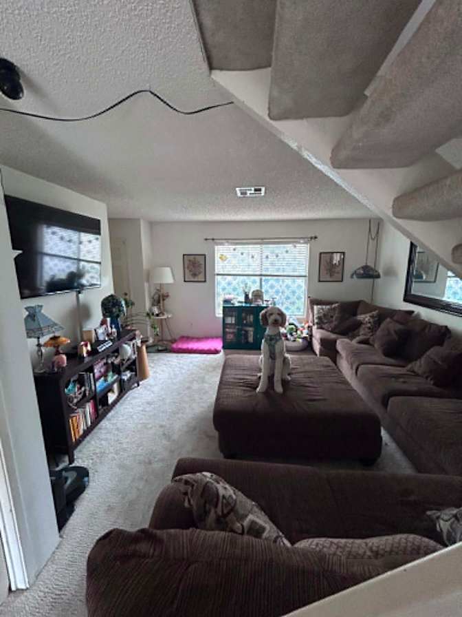 Sophia's room