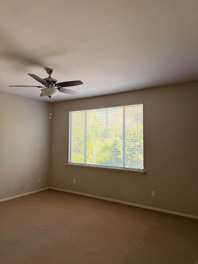 Amy's room