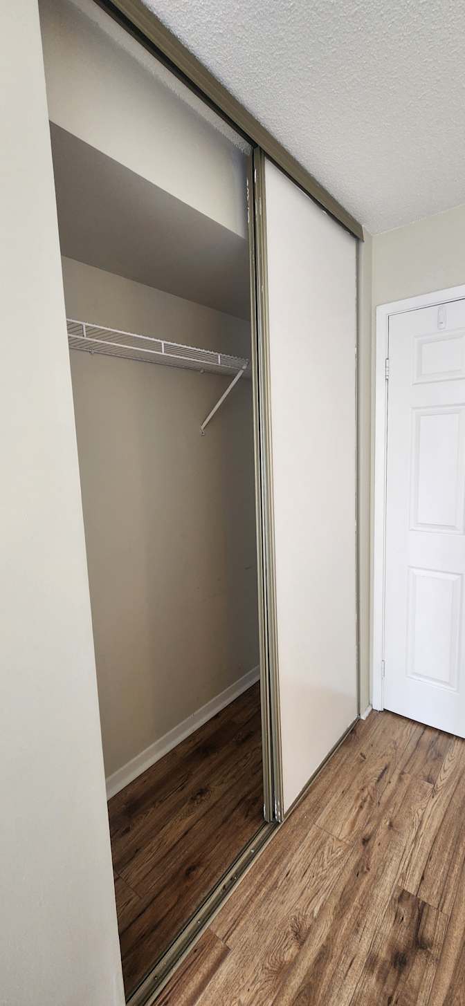 Ellie's room