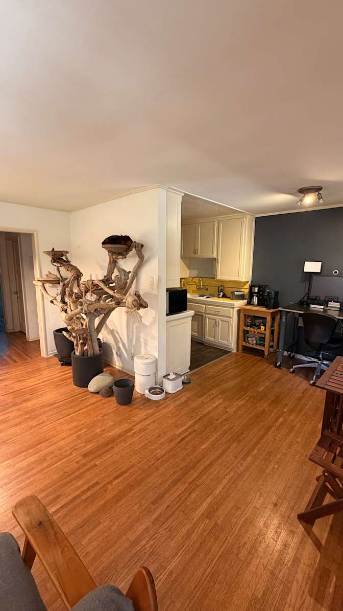 Brad's room