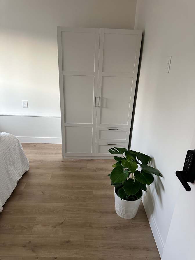 Harry's room