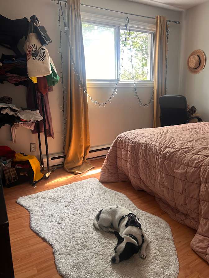 Brit Campbell's room