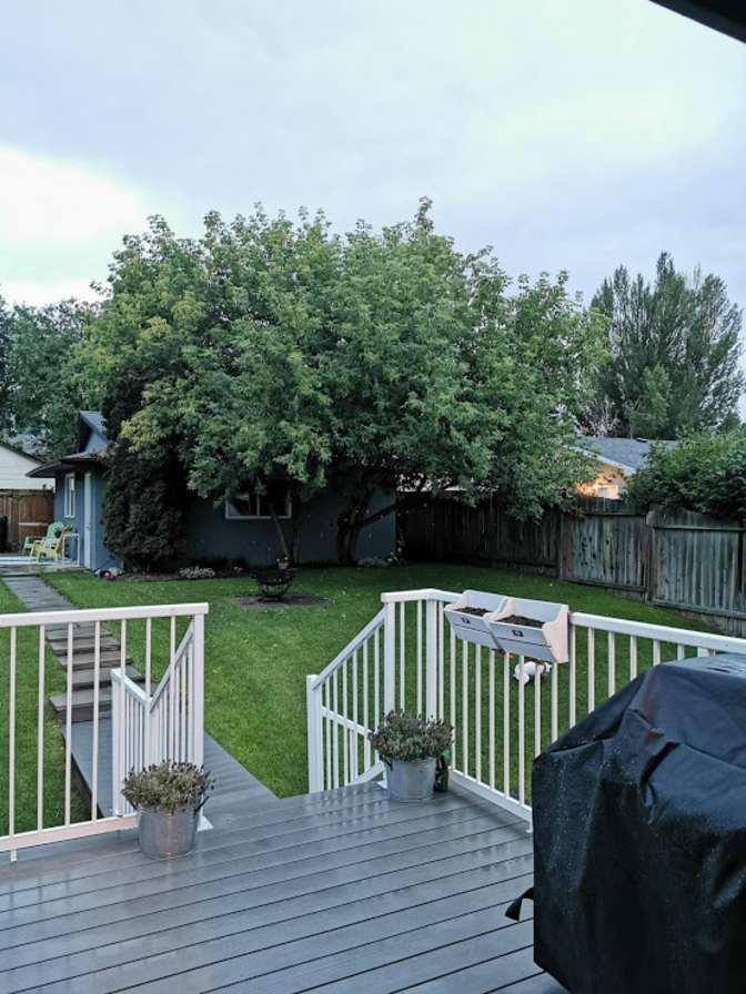 Megan's room