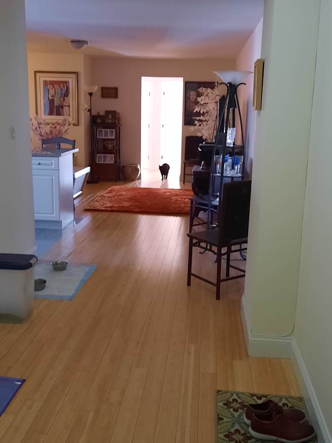 Gregory's room