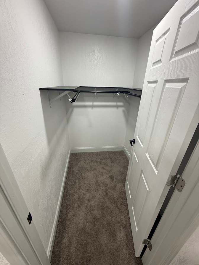 Guess's room