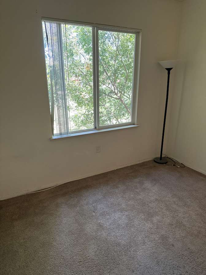 Steve's room
