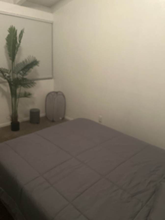 Sonja Jenkins's room