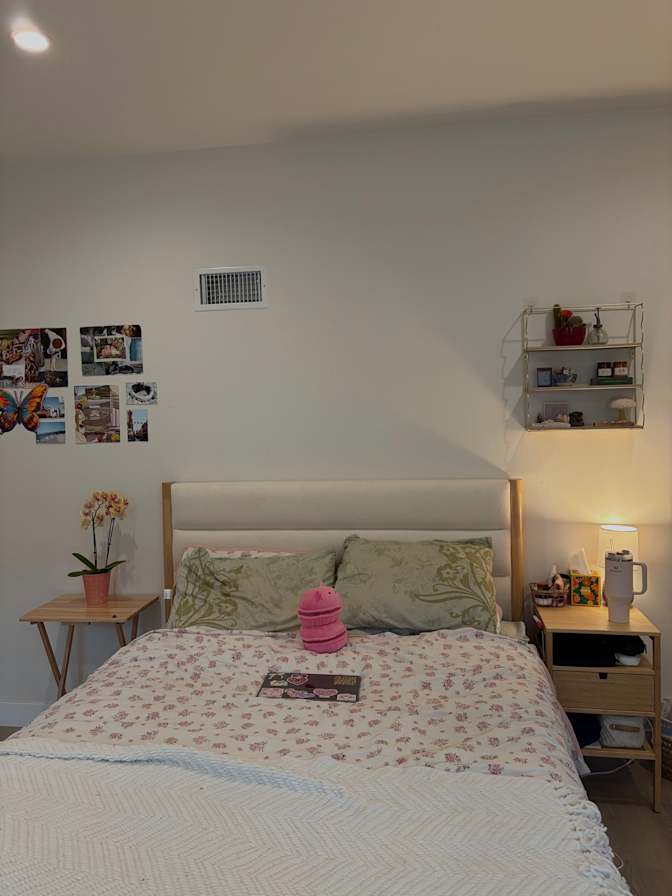 Alexa's room